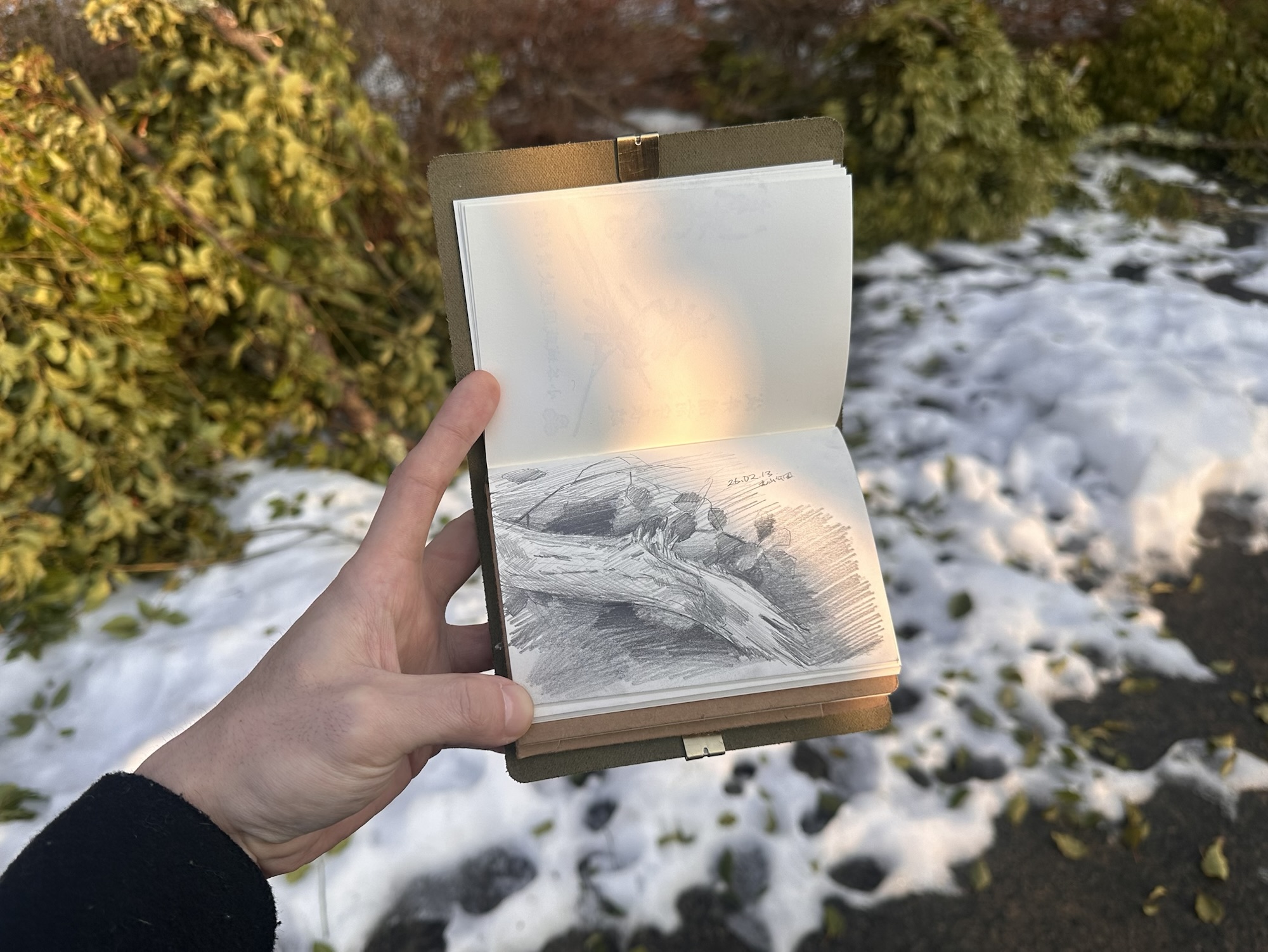 おじぃの今年一発目雑感