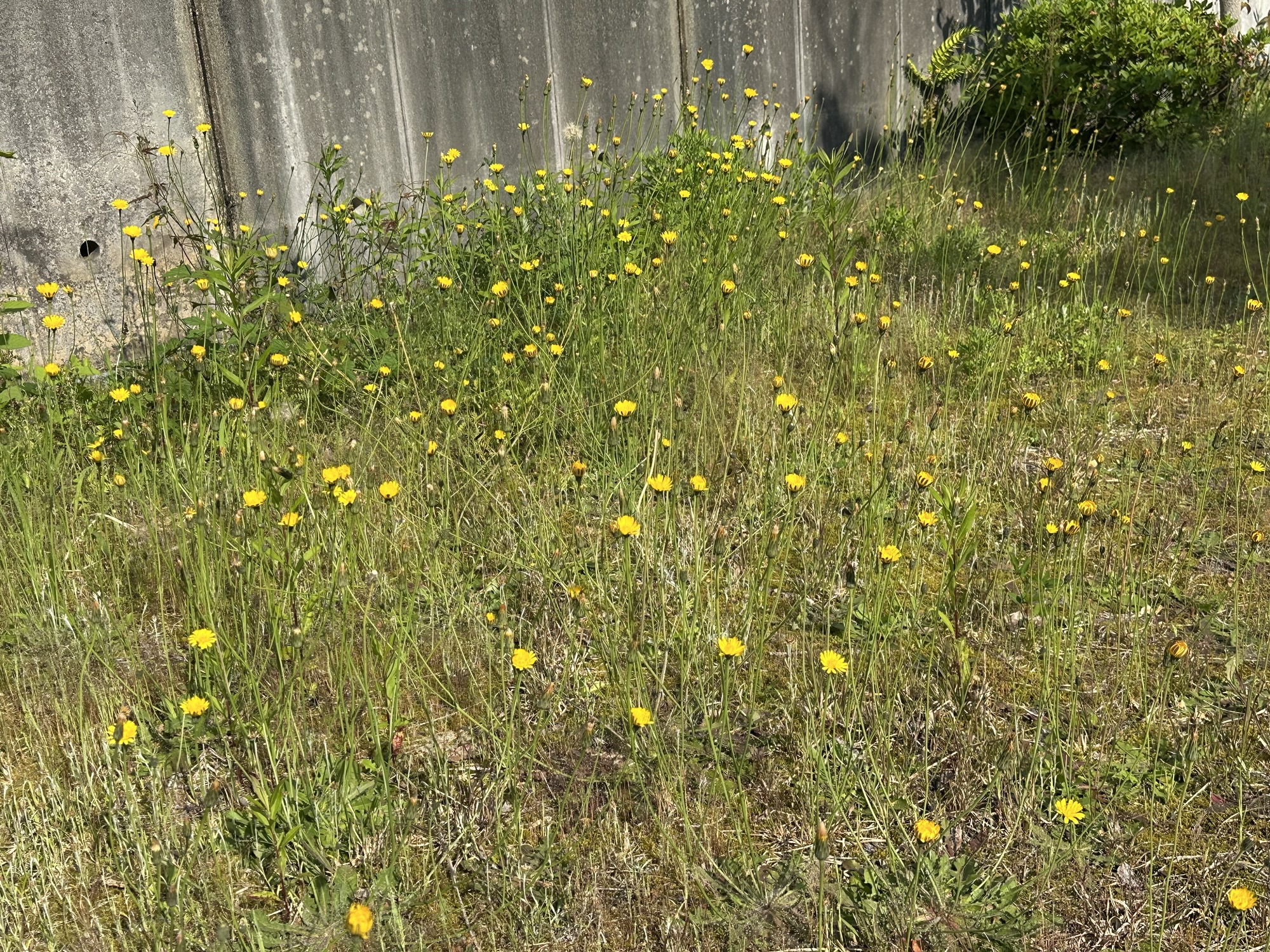 陽の当たる場所へ